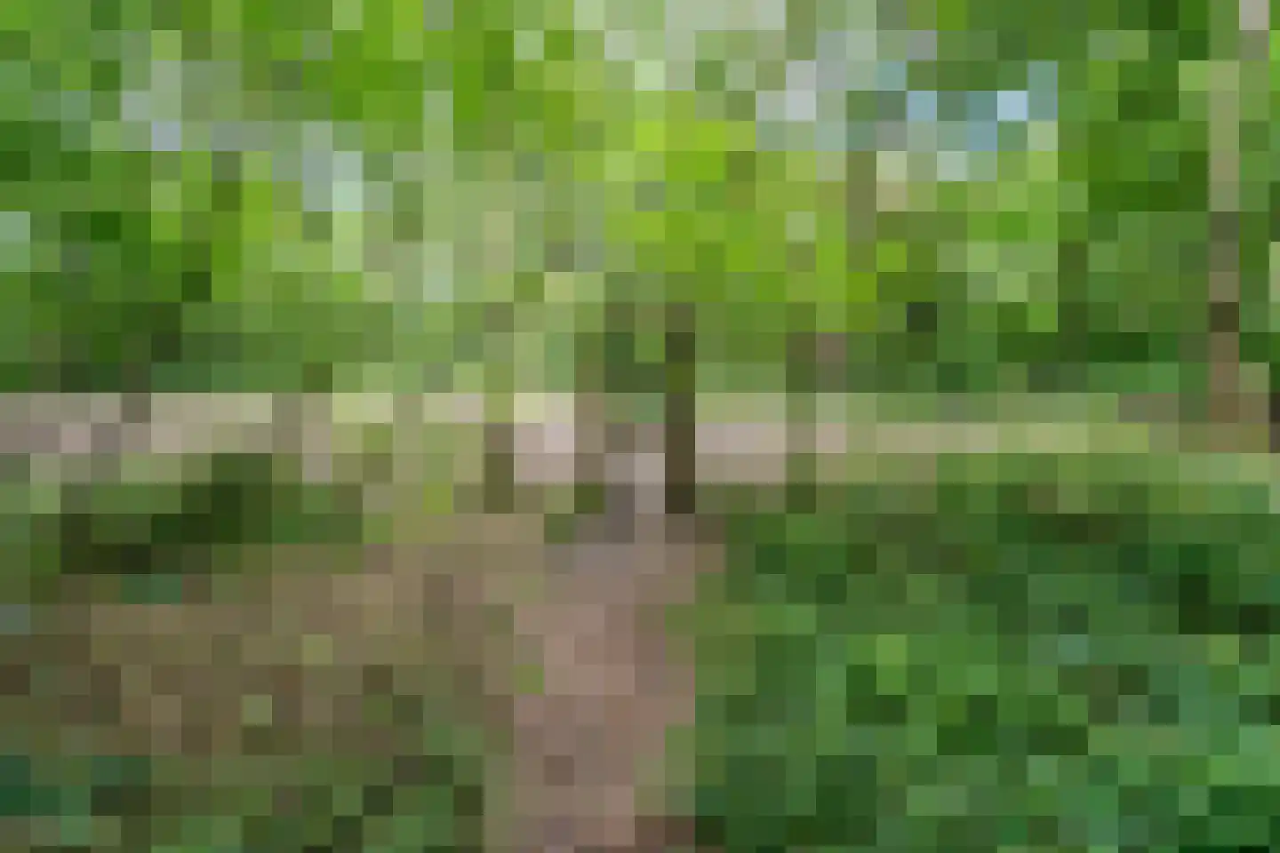 Eeuwigelaan 54 Bergen (NH) thumbnail 8