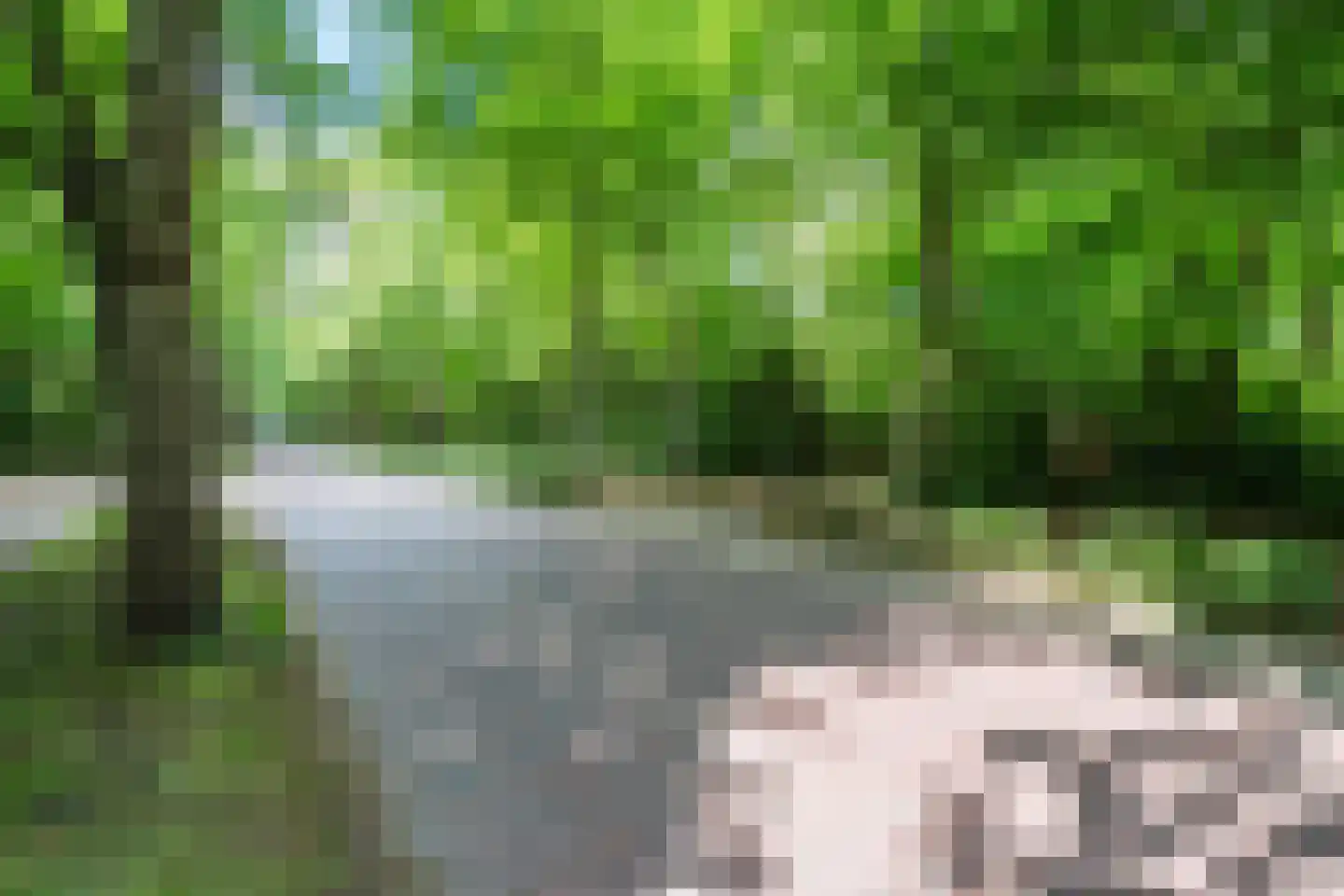 Eeuwigelaan 54 Bergen (NH) thumbnail 9