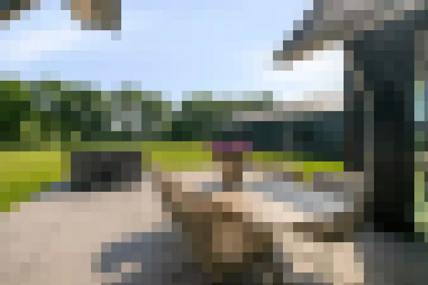 Eeuwlandseweg 9 c Heerde thumbnail 52