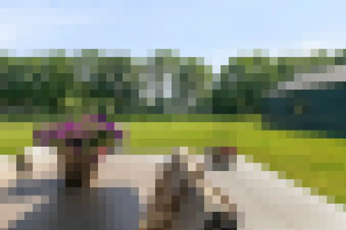 Eeuwlandseweg 9 c Heerde thumbnail 53