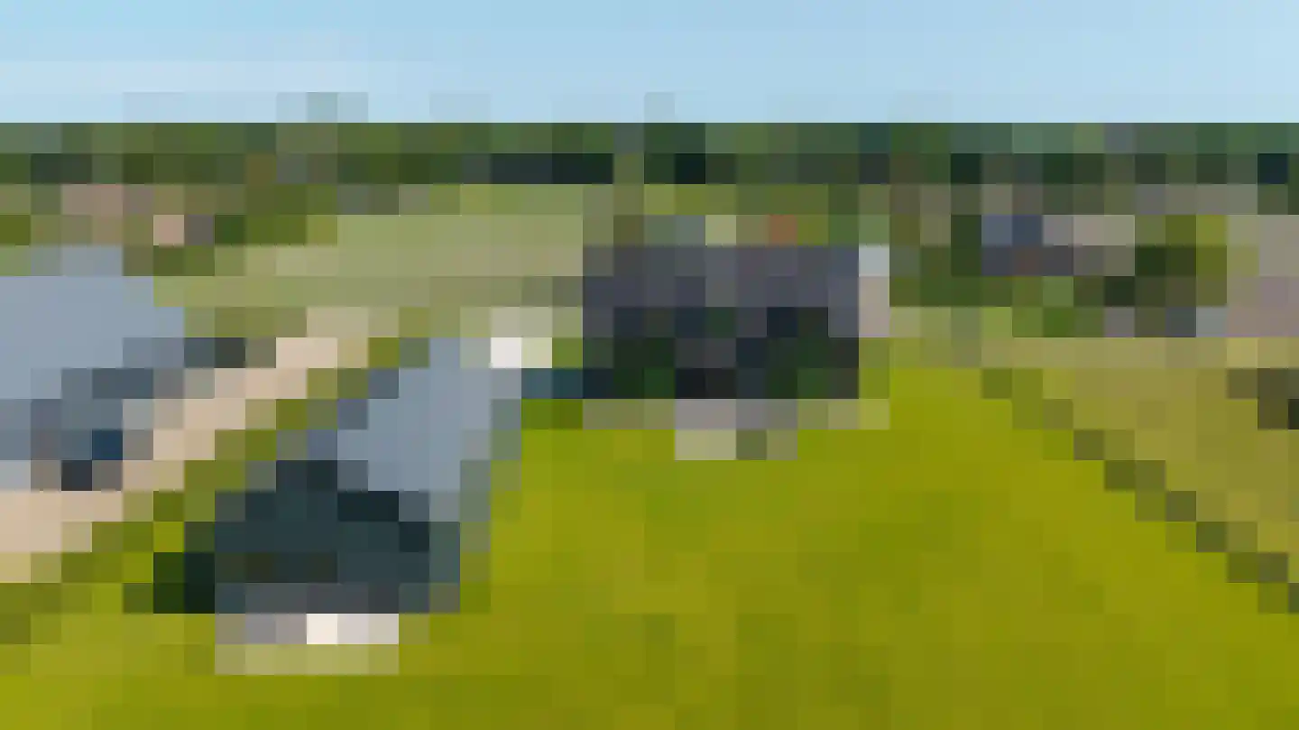 Eeuwlandseweg 9 c Heerde thumbnail 66