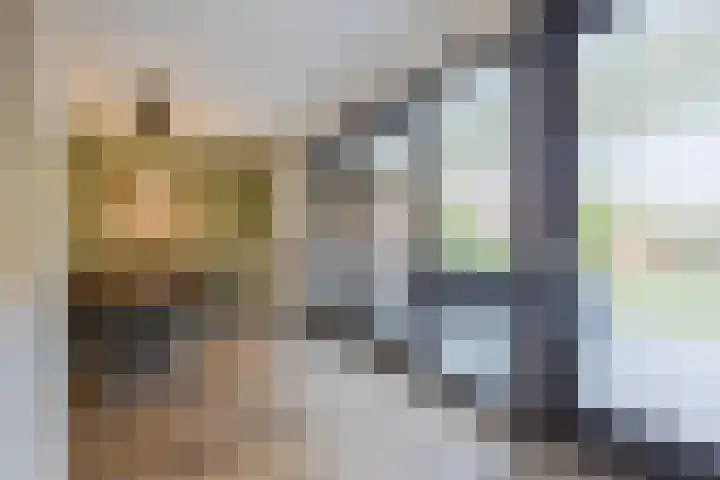Eeuwsel 5 Nistelrode thumbnail 11