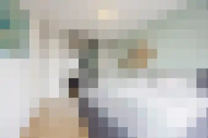 Eeuwsel 5 Nistelrode thumbnail 18