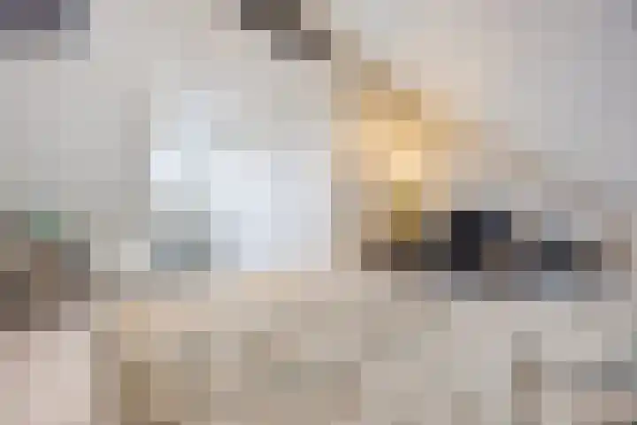 Eeuwsel 5 Nistelrode thumbnail 31