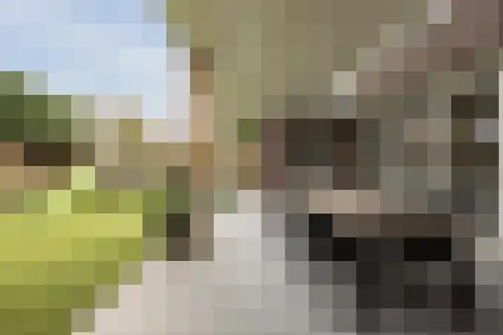 Eeuwsel 5 Nistelrode thumbnail 37