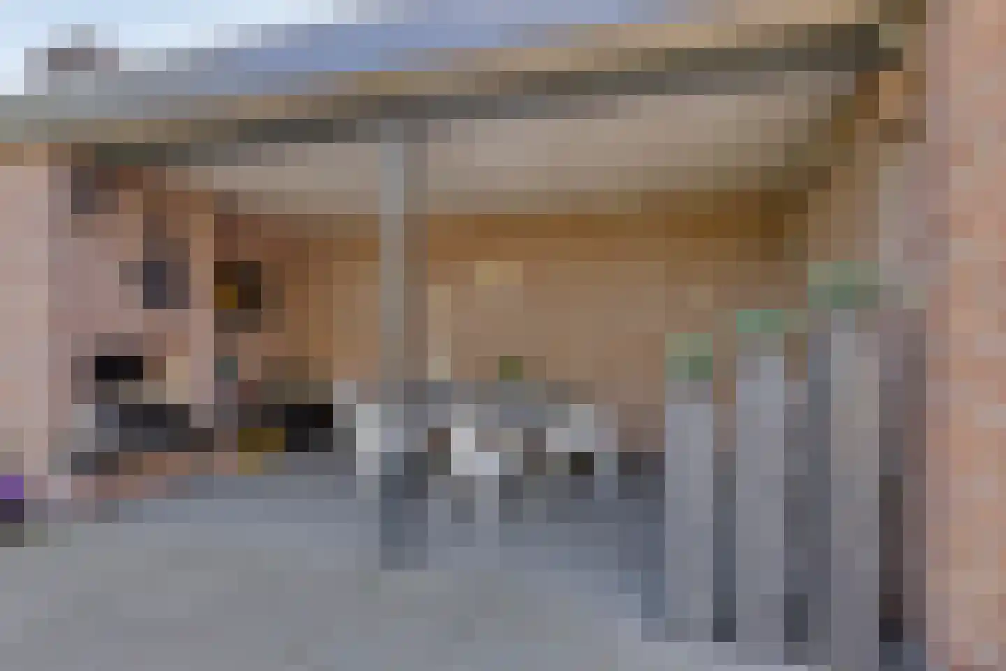 Eeuwsels 39 Volkel thumbnail 43