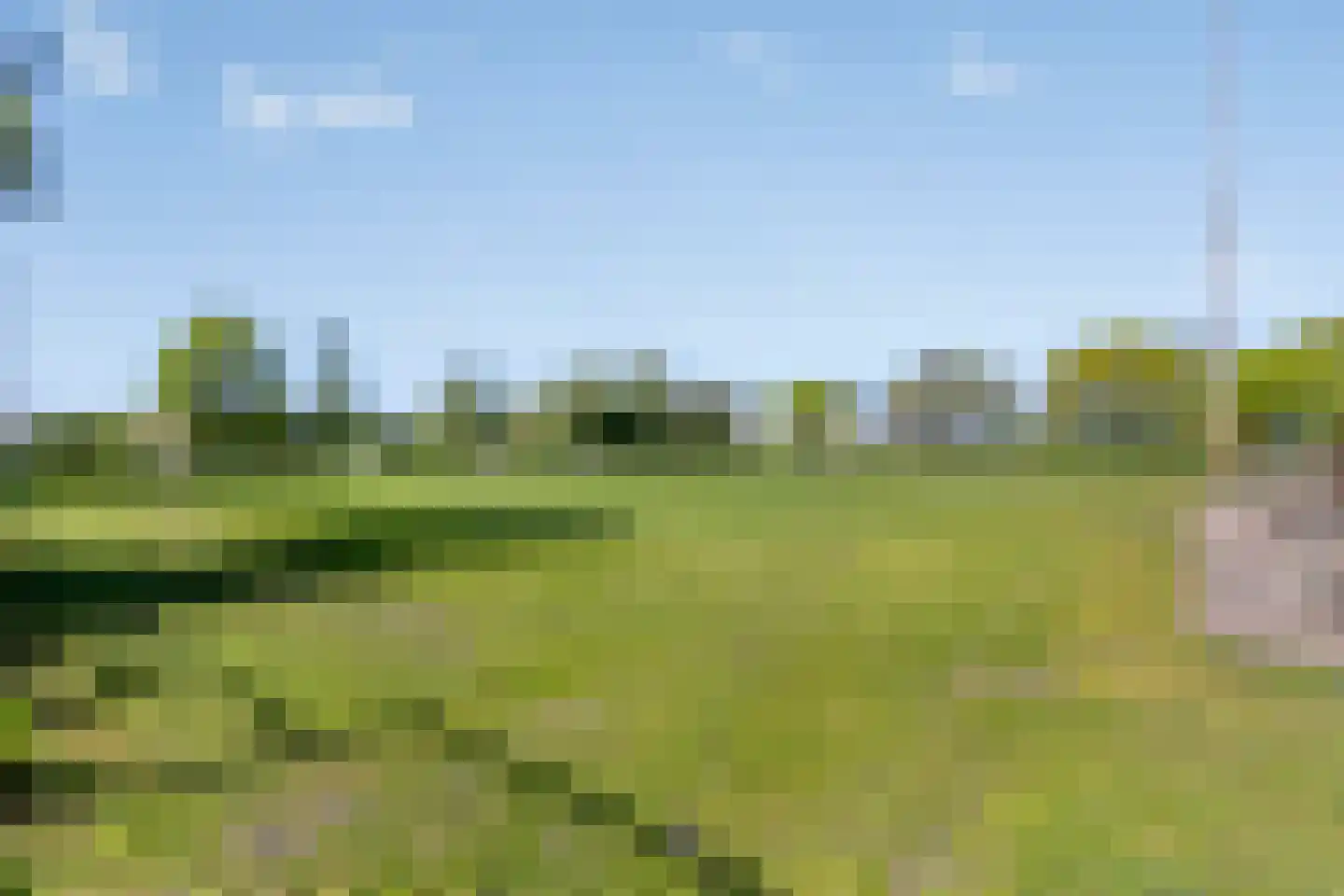 Eeuwsels 39 Volkel thumbnail 46