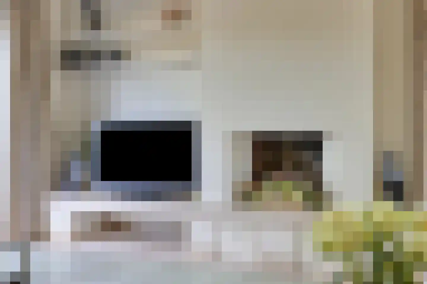 Eeuwsels 39 Volkel thumbnail 6