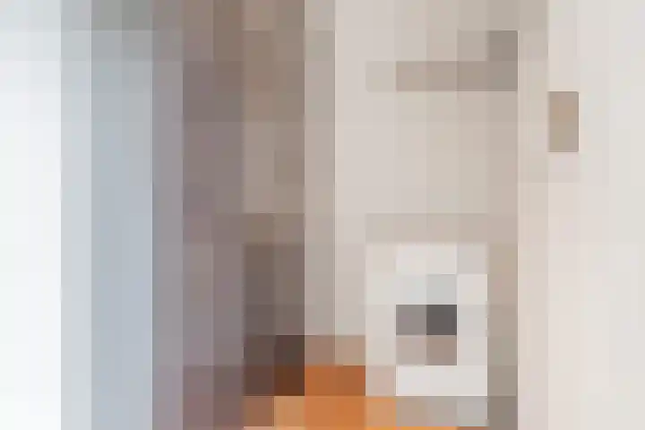 Eeuwselsestraat 1 Nuenen thumbnail 23