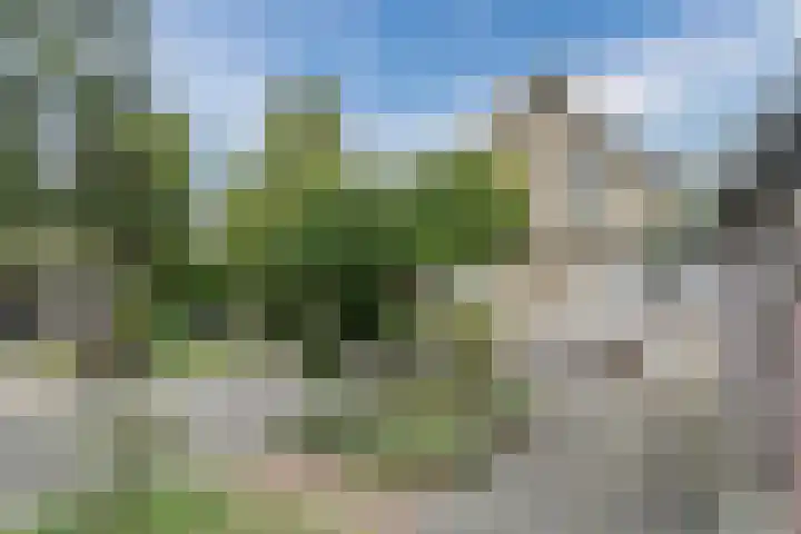 Eeuwselsestraat 1 Nuenen thumbnail 4