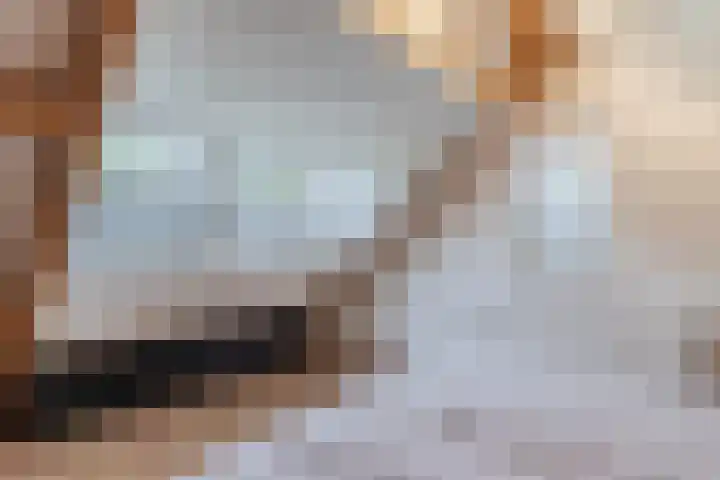 Eeuwselsestraat 1 Nuenen thumbnail 42