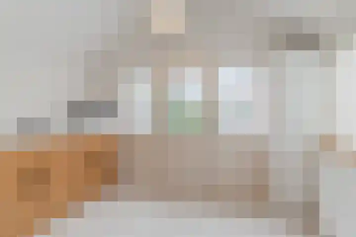 Eeuwselsestraat 1 Nuenen thumbnail 51