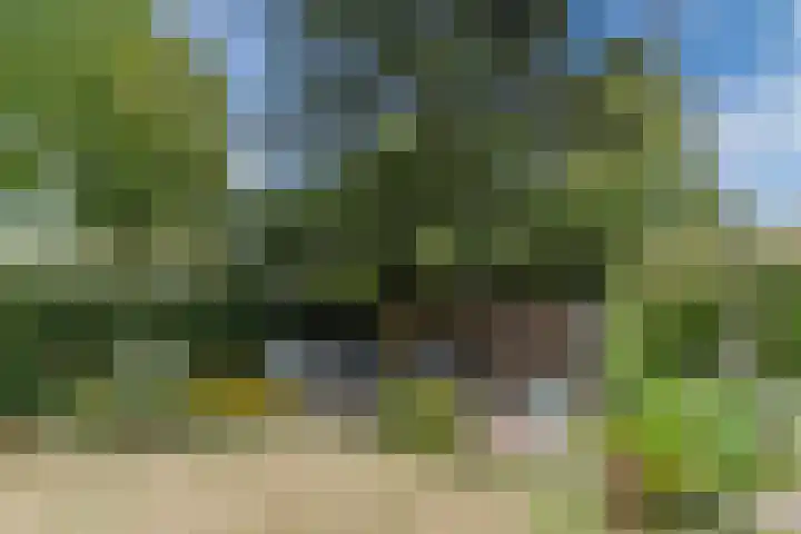 Eeuwselsestraat 1 Nuenen thumbnail 57