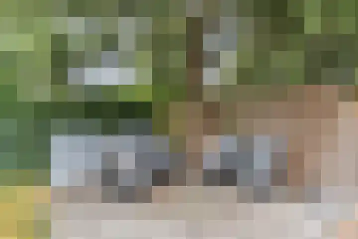 Eeuwselsestraat 1 Nuenen thumbnail 59