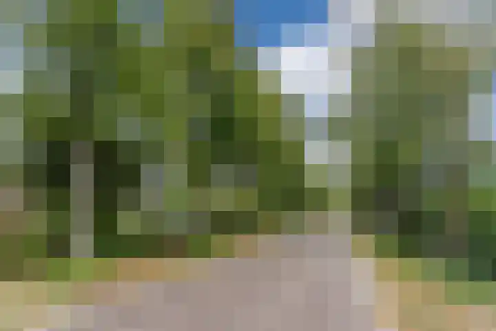 Eeuwselsestraat 1 Nuenen thumbnail 64