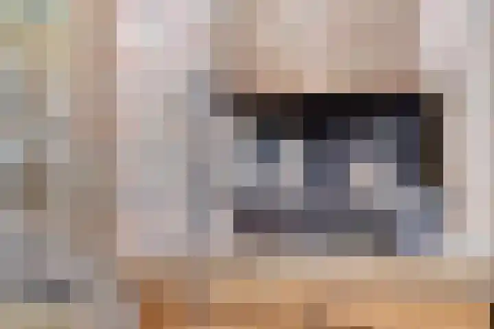 Eeuwselsestraat 8 Nuenen thumbnail 10
