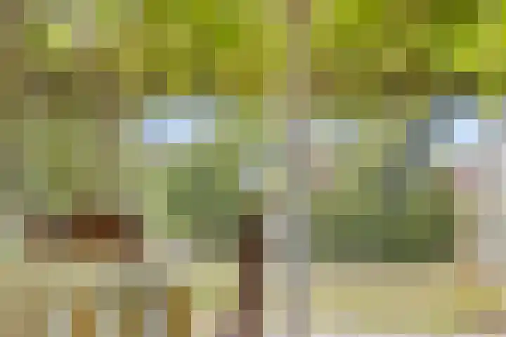 Eeuwselsestraat 8 Nuenen thumbnail 12