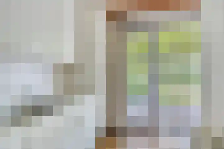 Eeuwselsestraat 8 Nuenen thumbnail 15