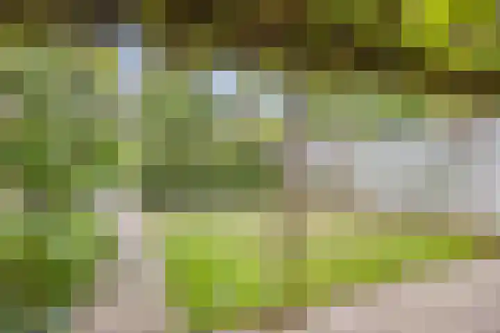 Eeuwselsestraat 8 Nuenen thumbnail 31