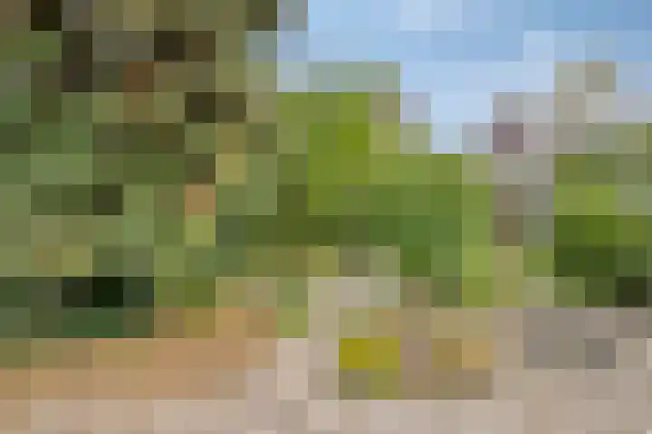 Eeuwselsestraat 8 Nuenen thumbnail 33