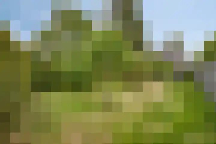 Eeuwselsestraat 8 Nuenen thumbnail 34