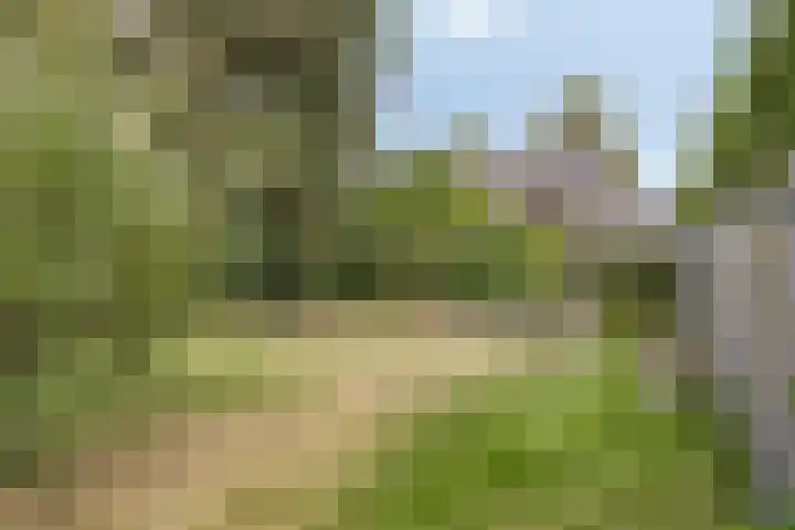 Eeuwselsestraat 8 Nuenen thumbnail 35