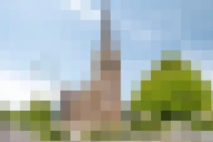 Eeuwselsestraat 8 Nuenen thumbnail 39