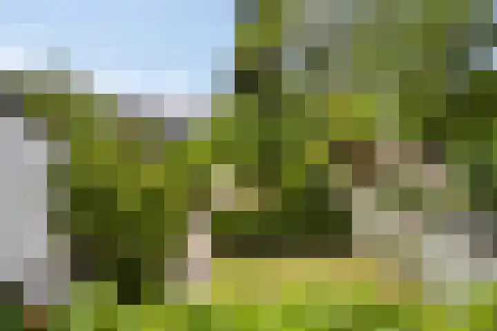 Eeuwselsestraat 8 Nuenen thumbnail 4
