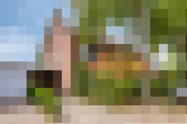 Eeuwselsestraat 8 Nuenen thumbnail 5