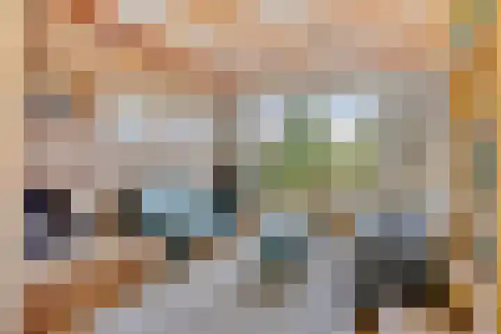 Eeuwselsestraat 8 Nuenen thumbnail 8