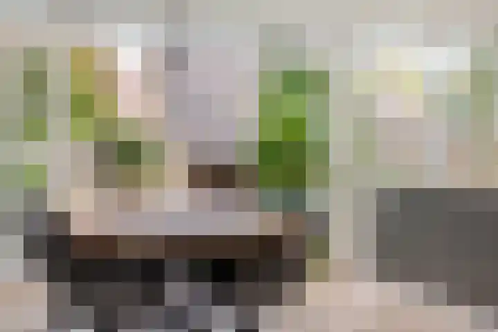 Eeuwselstraat 53 Geldrop thumbnail 12