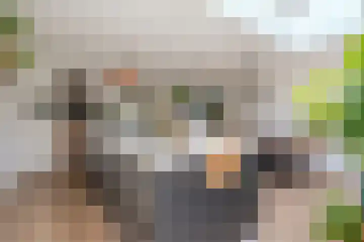 Eeuwselstraat 53 Geldrop thumbnail 17