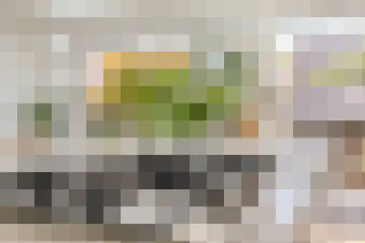Eeuwselstraat 53 Geldrop thumbnail 19