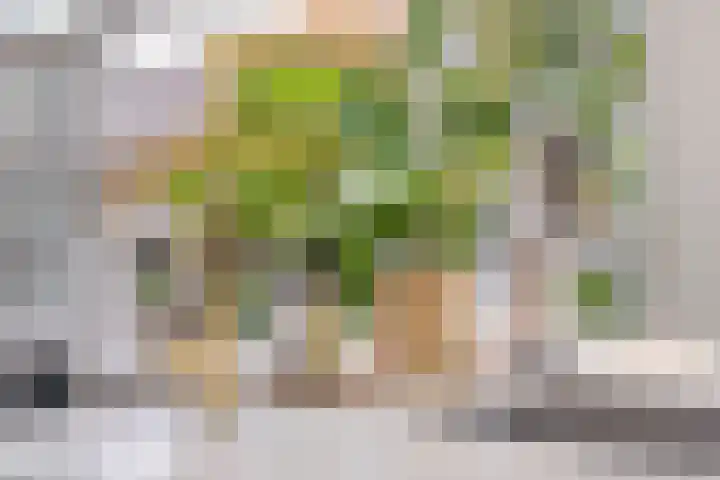 Eeuwselstraat 53 Geldrop thumbnail 20
