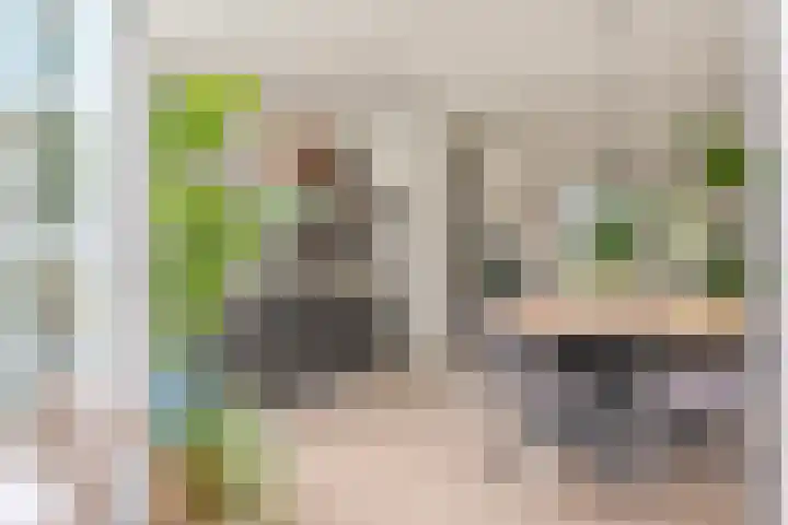 Eeuwselstraat 53 Geldrop thumbnail 21