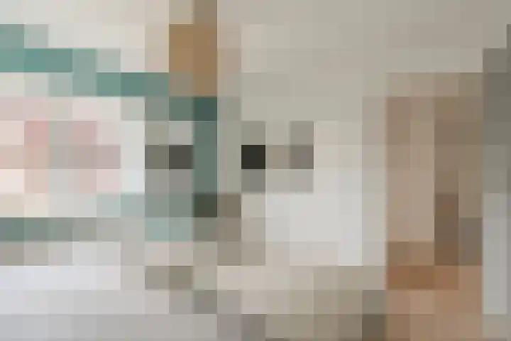 Eeuwselstraat 53 Geldrop thumbnail 25