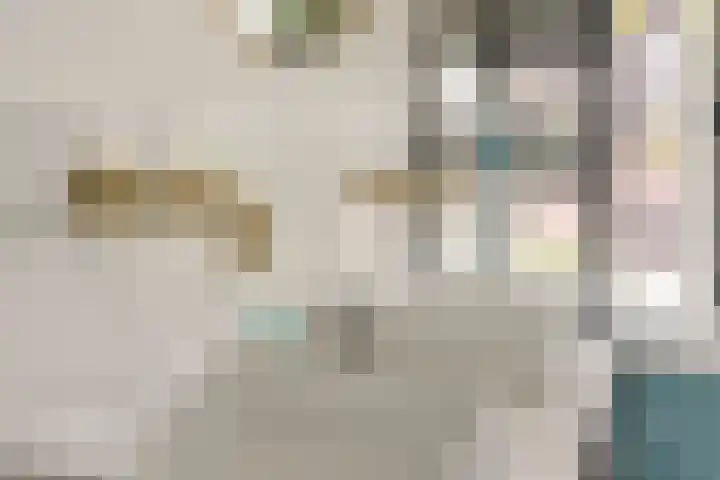 Eeuwselstraat 53 Geldrop thumbnail 27