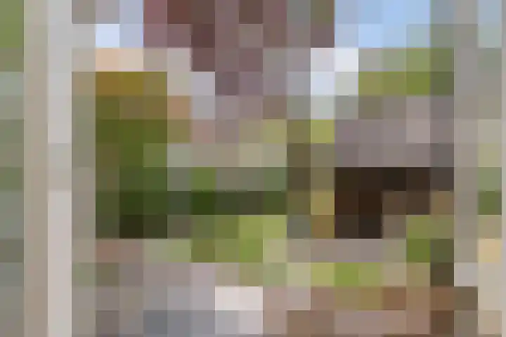 Eeuwselstraat 53 Geldrop thumbnail 32