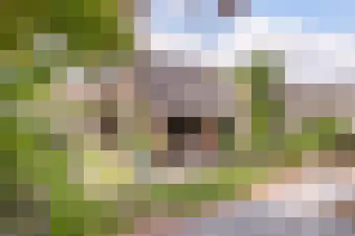 Eeuwselstraat 53 Geldrop thumbnail 33