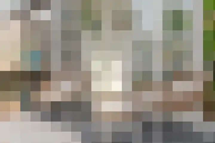 Eeuwselstraat 53 Geldrop thumbnail 34