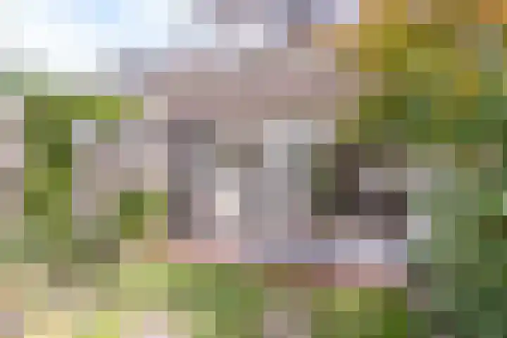 Eeuwselstraat 53 Geldrop thumbnail 36