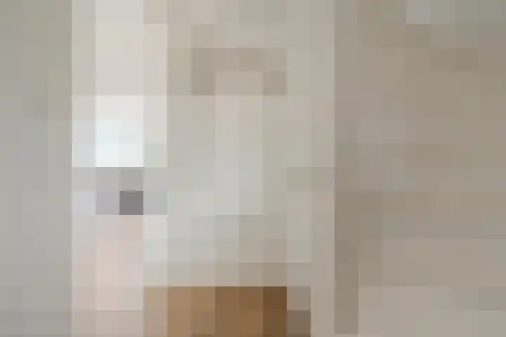 Eeuwselstraat 53 Geldrop thumbnail 6