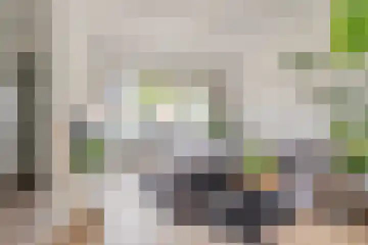 Eeuwselstraat 53 Geldrop thumbnail 7
