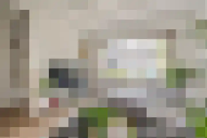 Eeuwselstraat 53 Geldrop thumbnail 8