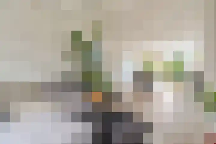 Eeuwselstraat 53 Geldrop thumbnail 9