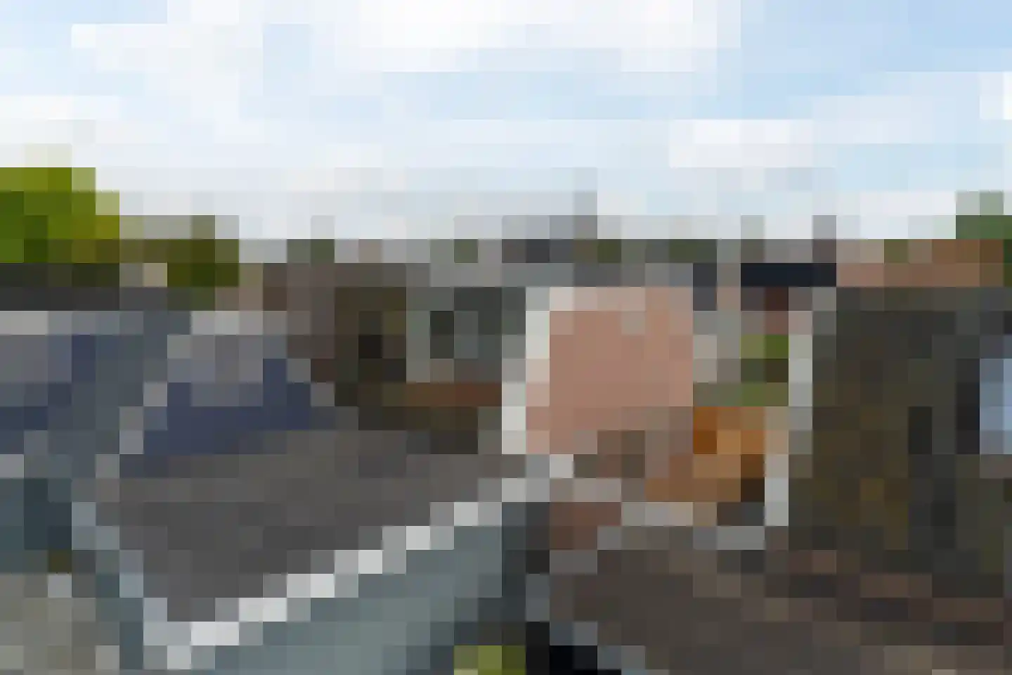 Eewal 31 Burdaard thumbnail 34