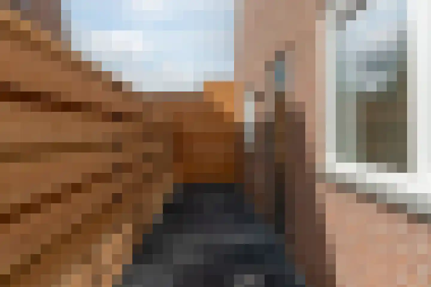 Eewal 31 Burdaard thumbnail 38