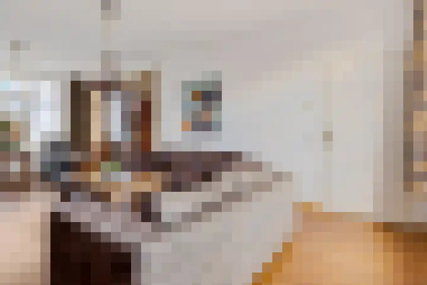 Eewal 37 Burdaard thumbnail 13