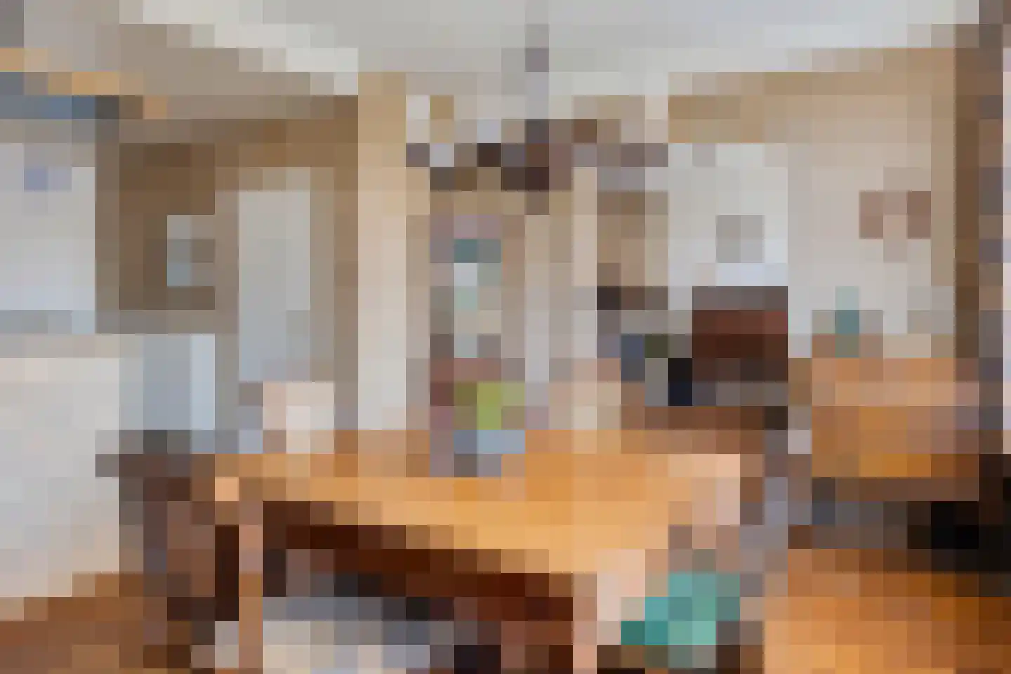 Eewal 37 Burdaard thumbnail 15