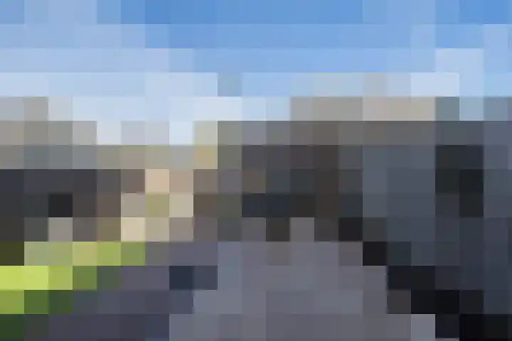 Eewal 37 Burdaard thumbnail 23